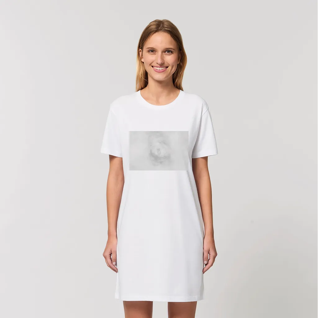 Illusion Organic T-Shirt Dress